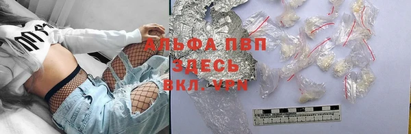 прущие грибы Абдулино