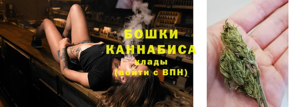 прущие грибы Абдулино