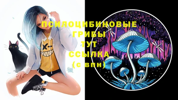 эйфоретик Абинск